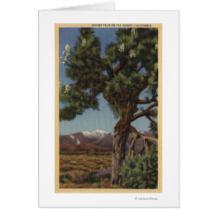 Eine Joshua-Palme in Bloom in der kalifornischen W