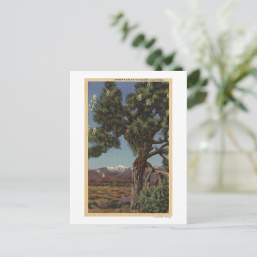 Eine Joshua-Palme in Bloom in der kalifornischen W Postkarte (Stehend Vorderseite)