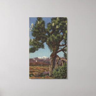 Eine Joshua-Palme in der Blüte in der Leinwanddruck