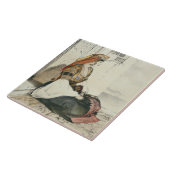 Eine jüdische Frau von Gibraltar, 'von den Skizzen Fliese (Seite)