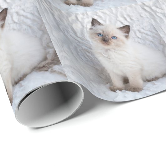 Eine junge ragdoll Katze, die auf Pelz im Stuhl Geschenkpapier (Rolleneckpunkt)