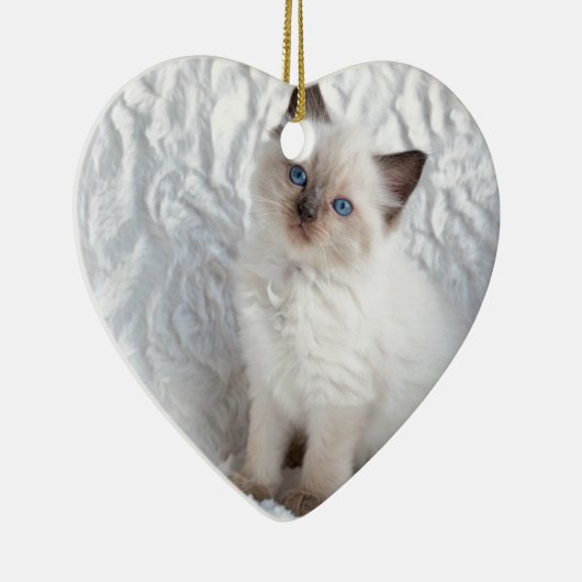 Eine junge ragdoll Katze, die auf Pelz im Stuhl Keramik Ornament (Rechts)