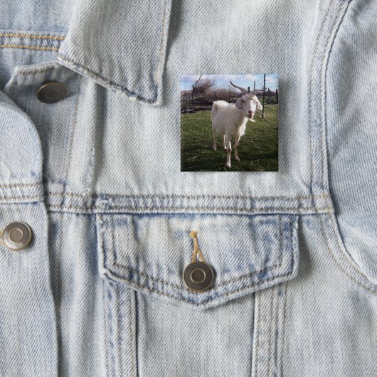 Eine junge Ziege Button (Beispiel)
