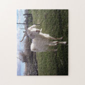 Eine junge Ziege Puzzle (Vertikal)
