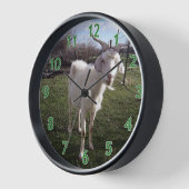 Eine junge Ziege Uhr (Winkel)