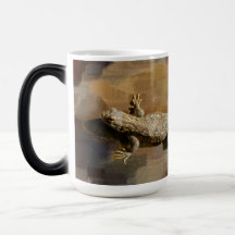 Eine Kaffeideckse