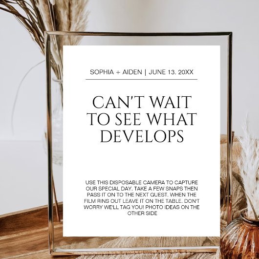 Eine Kamera zum Hochzeitstich kann nicht warten, b Poster