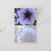 Eine Karte von Serene Pansy Garden (Innenseite)