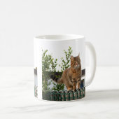 eine Katze auf einer Tasse (VorderseiteRechts)