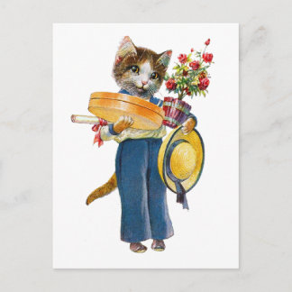 Eine Katze, die Blume und Geschenke trägt Postkarte