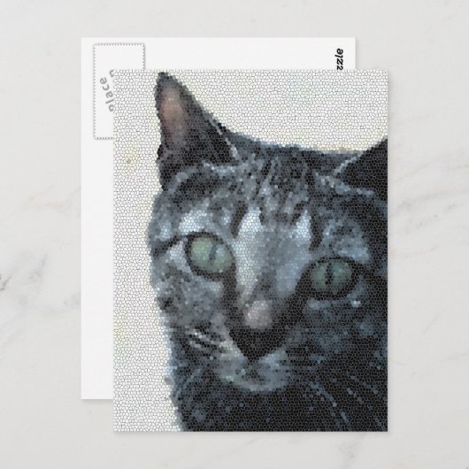 Eine Katze durch die Augen einer Libelle. Postkarte (Vorne/Hinten)