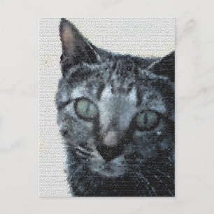 Eine Katze durch die Augen einer Libelle. Postkarte