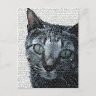 Eine Katze durch die Augen einer Libelle. Postkarte