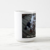 Eine Katze führt zu eine andere Tasse (Mittel)