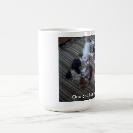 Eine Katze führt zu eine andere Tasse (Mittel)