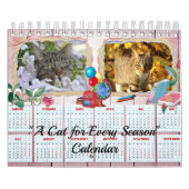 Eine Katze für jeden Saisonkalender Kalender (Titelbild)