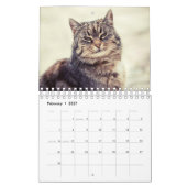 Eine Katze für jeden Saisonkalender Kalender (Feb 2027)