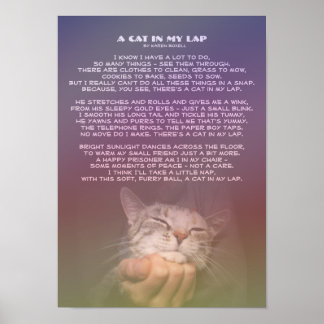 Eine Katze in meinem Schoß Poster
