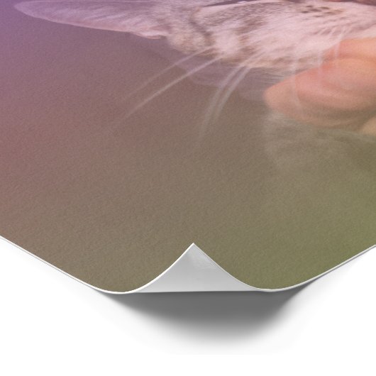 Eine Katze in meinem Schoß Poster (Ecke)