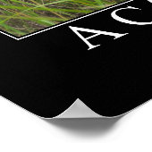 Eine Katze ist ein Lion Indian Sprichwort Poster (Ecke)