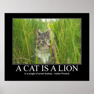 Eine Katze ist ein Lion Indian Sprichwort Poster