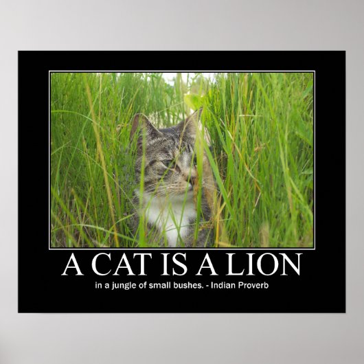 Eine Katze ist ein Lion Indian Sprichwort Poster (Vorne)