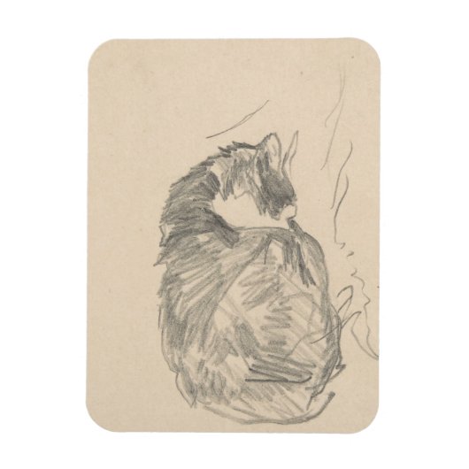 Eine Katze krummte auf, schläfend von Edouard Mane Magnet (Vertikal)