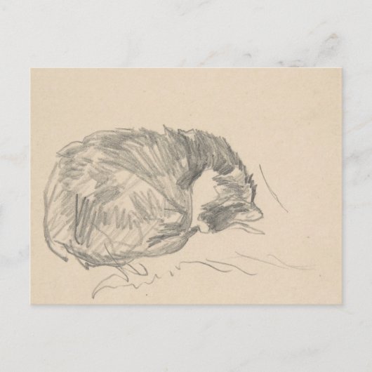 Eine Katze krummte auf, schläfend von Edouard Mane Postkarte (Vorderseite)