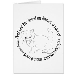 Eine Katze lieben