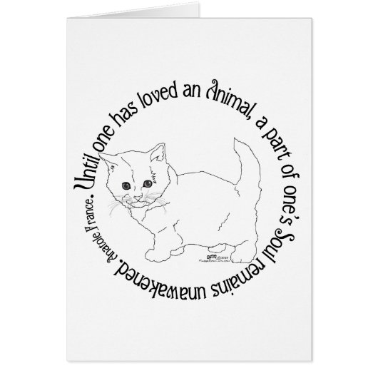 Eine Katze lieben (Vorne)