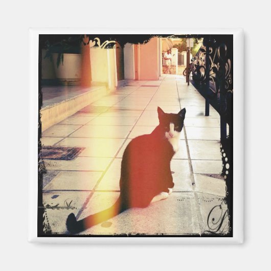 Eine Katze Magnet (Vorne)