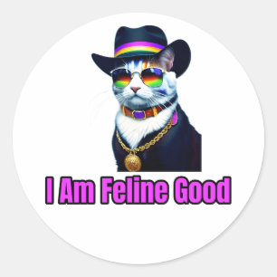 Eine Katze mit einer Fedora und Sonnenbrille Runder Aufkleber