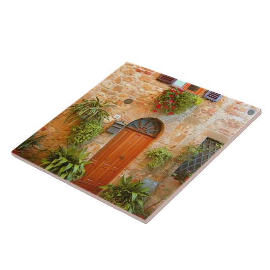 Eine Katze sucht Eintritt in die Zuhause in Pienza Fliese (Seite)