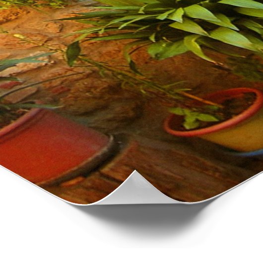 Eine Katze sucht Zugang zum Zuhause in Pienza, Ita Poster (Ecke)