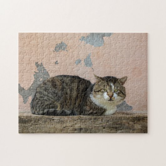 Eine Katze vor alter Mauer Puzzle (Horizontal)