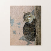 Eine Katze vor alter Mauer Puzzle (Vertikal)