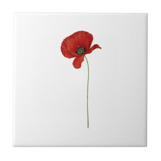 Eine Keramik aus rotem Mohn Fliese (Vorderseite)