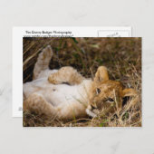 Eine Keuschenzeit Siesta Postkarte (Vorne/Hinten)