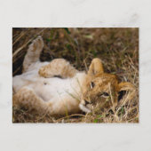 Eine Keuschenzeit Siesta Postkarte (Vorderseite)