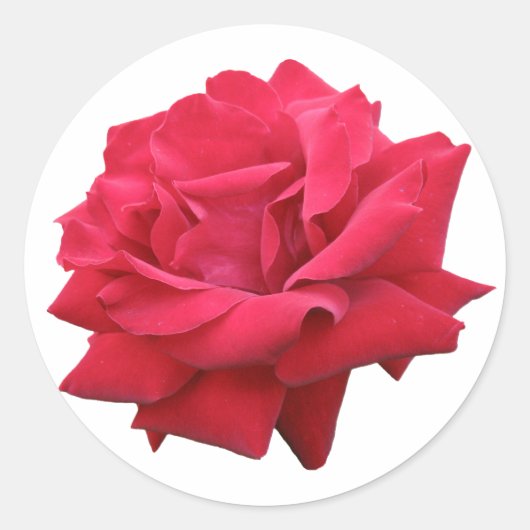 Eine klassische Rote Rose Runder Aufkleber (Vorderseite)