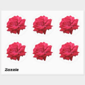 Eine klassische Rote Rose Runder Aufkleber (Blatt)