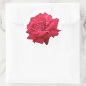 Eine klassische Rote Rose Runder Aufkleber (Tasche)