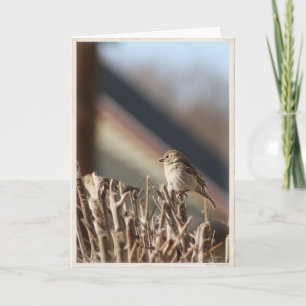 Eine kleine Birdie Blank Grußkarte Karte