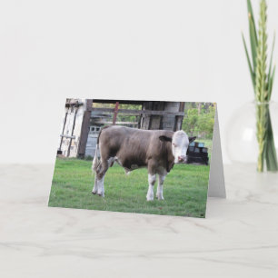 Eine kleine Bull-Grußkarte Karte