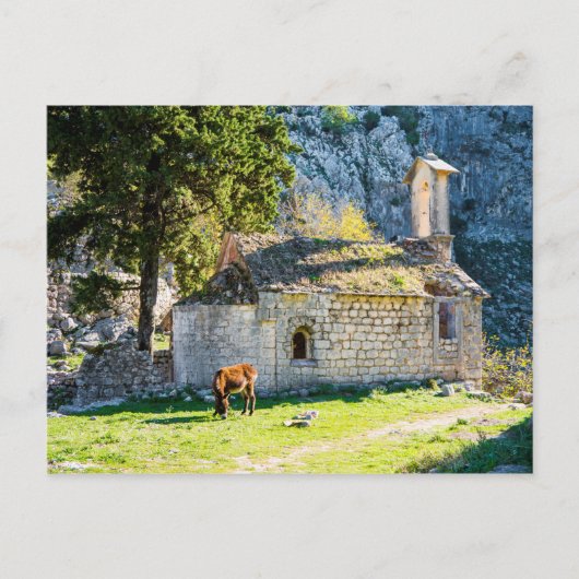Eine kleine Kirche im Gebirge von Montenegro Postkarte (Vorderseite)