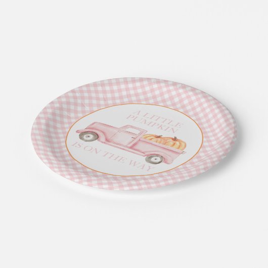 Eine kleine Kürbisdusche aus hellrosa LKW Pappteller (Schrägansicht)