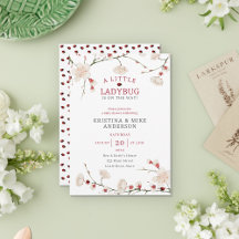 Eine kleine Ladybug Baby Girl Dusche