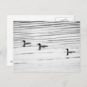 Eine kleine Loonie - Postkarte (Vorne/Hinten)