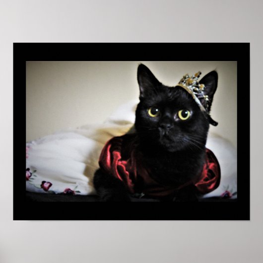 Eine kleine Prinzessin Poster (Vorne)