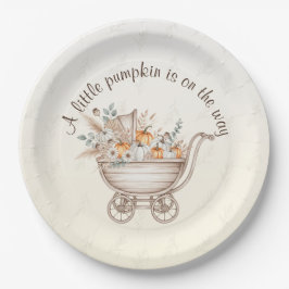 Eine kleine Pumpkin Boho Babydusche Papierplatte Pappteller